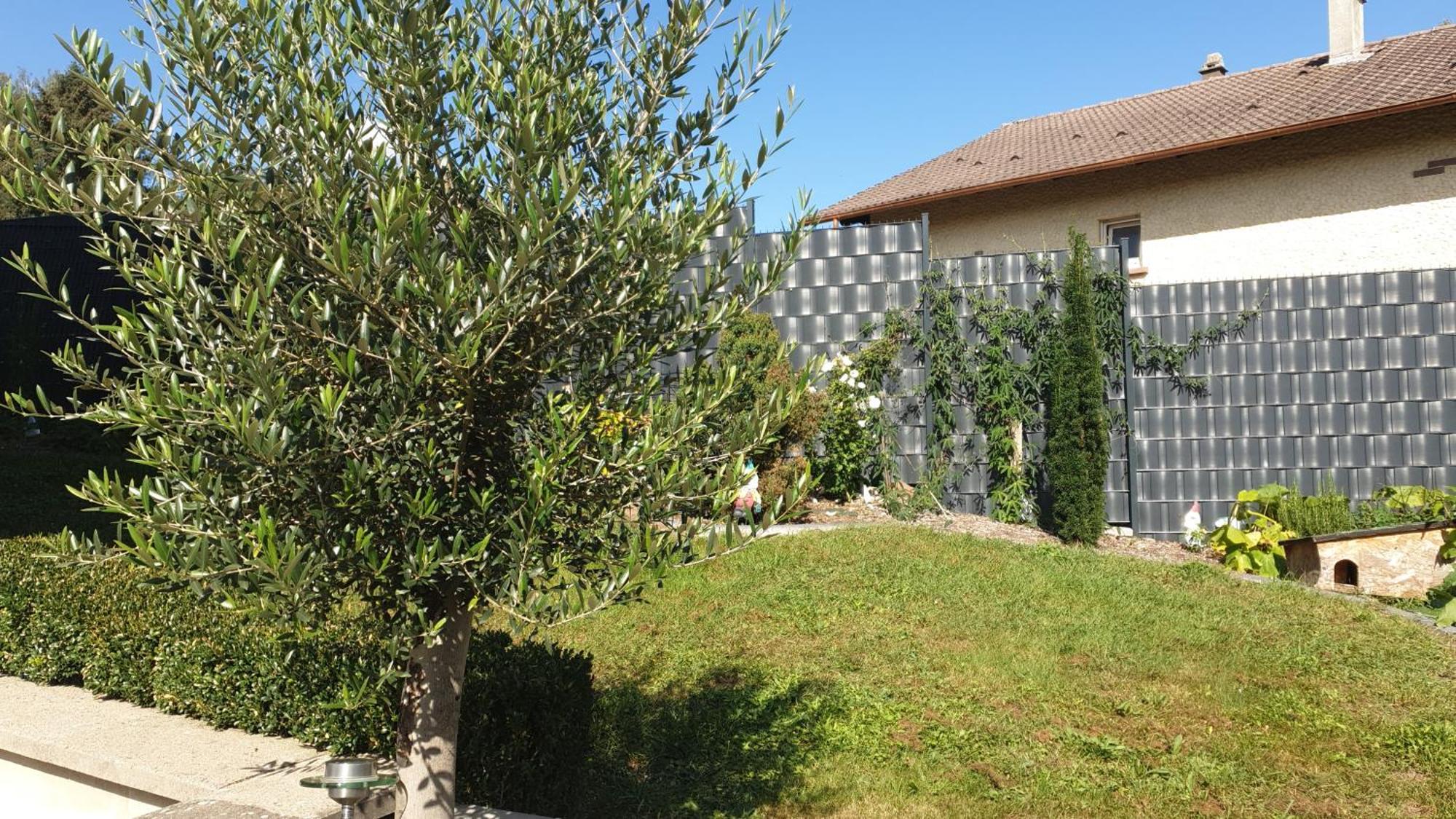 Le Gîte du Fort Bitche Extérieur photo